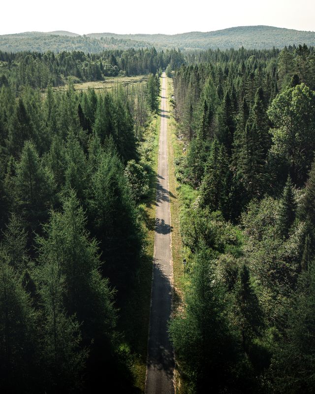 Vue aérienne du P'tit Train du Nord traversant la forêt des Hautes-Laurentides