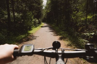 Vue à vélo sur le P'tit Train du Nord en forêt
